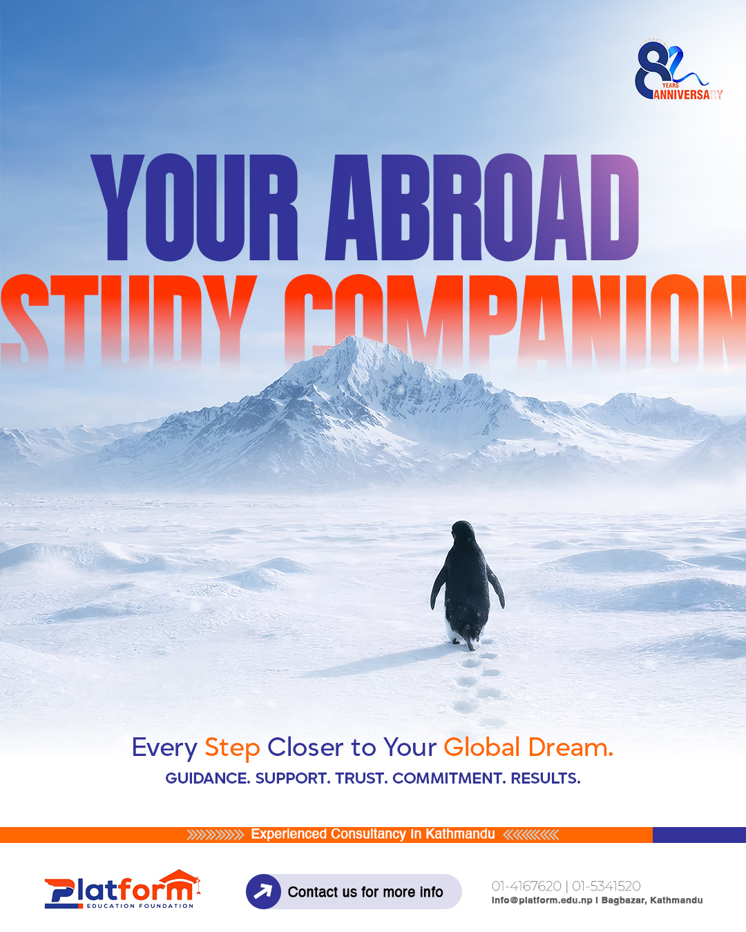 Penguin character illustration for brand mascot design